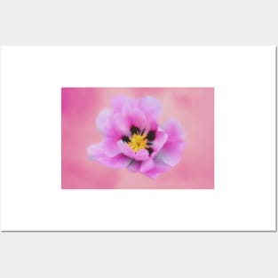 Pink Peony Flower Posters and Art